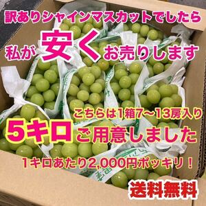 訳ありシャインマスカットは私がお安くお売りいたします1箱5キロガッツリ詰めました　2