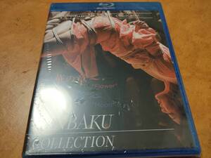 KINBAKU 華の章/月の章　未開封輸入盤Blu-ray　みおり舞/真木今日子/晴香いく/曖原ゆめ/皆川鈴夏/朝霧涼/米山敬子/名無しの千夜子/友松直之