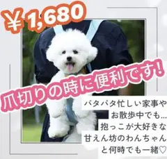 犬 抱っこハーネス Mサイズ ペット リュック 抱っこ紐 小型犬用 メッシュ