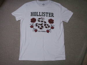 HOLLISTER Tシャツ　ホリスター　アバクロ