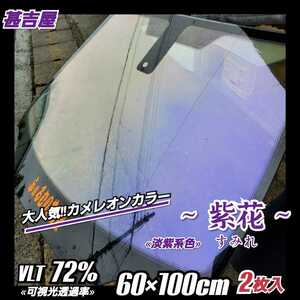 《新品》ウィンドウフィルム ～紫花 すみれ～ カメレオンカラー 淡紫系色 プライバシー保護 飛散防止 オシャレ 縦60cm×横100cm 2枚入り