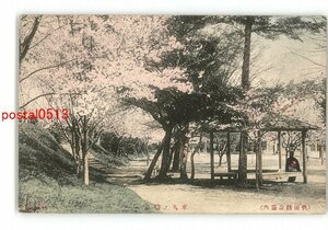 XyV4005●秋田 手彩色 秋田県公園内 本丸の桜花 *傷み有り【絵葉書】