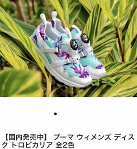 限定プーマPUMA DISK TROPICANA ディスク　トロピカーナ　24㎝