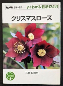 クリスマスローズ （ＮＨＫ趣味の園芸　よくわかる栽培１２か月）