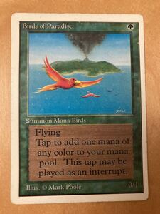 UN 2ED 極楽鳥　birds of paradise 1枚　ヘビープレイド　HP old school mtg