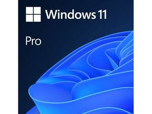 【認証保証】windows 11 pro プロダクトキー 正規 32/64bit サポート付き 新規インストール/HOMEからアップグレード対応