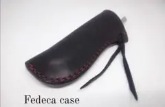 fedeca case