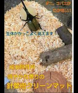 40リットル☆成虫管理はコレが一番良いです！針葉樹クリーンマット☆爽やかな香りでケース内が明るくなり生体が目立つ！防ダニ、消臭効果も