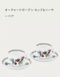 Noritake オーチャードガーデン　カップ&ソーサーペア