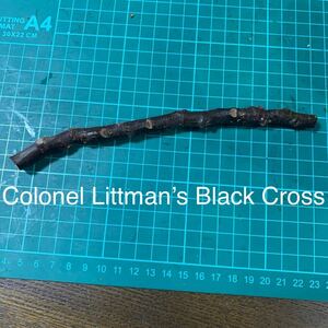 Colonel Littman’s Black Cross穂木　いちじく穂木 イチジク穂木 