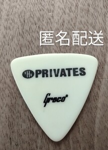 ザ・プライベーツ　ギターピック　THE PRIVATES（1990年前後　昭和　平成）