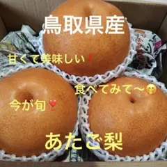 お買い得❣️鳥取県産 農薬不使用 あたご 梨