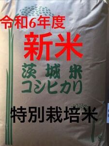 新米 令和6年 茨城 茨城県産 JGAP認定農場　特別栽培米　こしひかり コシヒカリ 無農薬 30kg 低温貯蔵庫 玄米 ご飯 ゆうパック着払い 精米