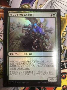 ギャレンブリグの聖騎士 foil エルドレインの王権 日本語 マジックザギャザリング MTG