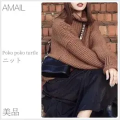 ほぼ新品 Poko poko turtle knitニット AMAIL(2084