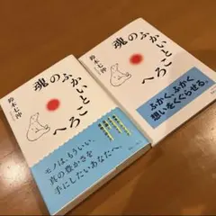 魂のふかいところへ 鈴木七沖