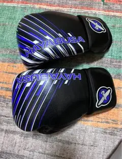 Hayabusa Ikusa Charged Boxing Gloves 10