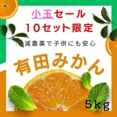 小粒 減農薬 有田みかん 5kg 少農薬 和歌山 小玉 ミカン 蜜柑