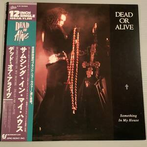 LP(12インチ・シングル)●デッド・オア・アライヴ／サムシング・イン・マイ・ハウス●帯付美品！