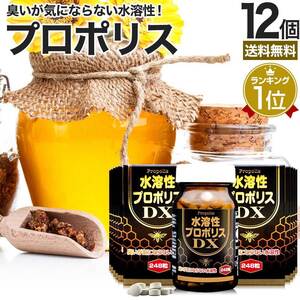 サプリ プロポリス プロポリスサプリ 248粒*12個セット 約324～372日分 送料無料 宅配便