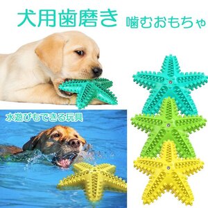 犬用歯磨き 噛むおもちゃ ヒトデ形犬歯ブラシ ワンちゃんのおもちゃ ペット用歯クリーナー 歯石の掃除に DOGTB005/グリーン