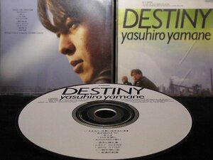 34_06640 DESTINY～夢を追いかけて ※ケースひび割れ有り。/山根康広