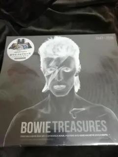 ボウイ・トレジャーズ　DAVID BOWIE TREASURES