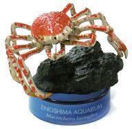 中古ペットボトルキャップ タカアシガニ 「新江ノ島水族館への誘い2」 2004年 セブンイレブン キャンペーン品