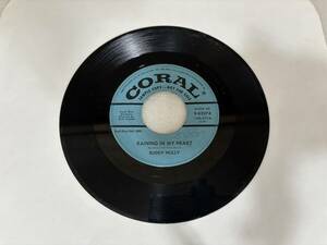 Buddy Holly/Coral 9-62074/Promo/It Doesn