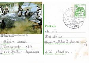 改〒【TCE】79221 - 西ドイツ・１９８１年・ヴッペルタル動物公園１００周年記念/ペンギン・官製絵葉書