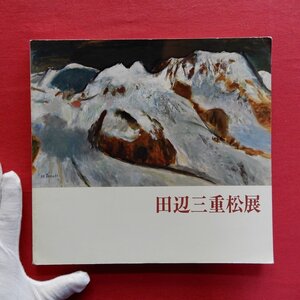 m3/図録【没後20年 田辺三重松展/1991年・北海道立函館美術館ほか】中塚宏行:果てしなき風景との交感-田辺三重松/著述文再録