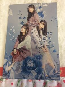 ★乃木坂46　2021年壁掛けカレンダー特典ポストカード　阪口珠美・伊藤理々杏・佐藤楓★未使用品