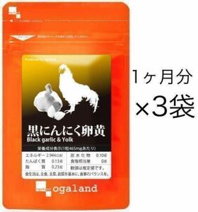 ★送料無料★黒にんにく卵黄 約3ヶ月分(30日分30カプセル入×3袋)オーガランド サプリメント