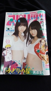 ★【貴重】ビッグコミックスピリッツ 2013年 13号 柏木由紀 横山由依 AKB48 柏木 由紀 横山 由依 送料無料①