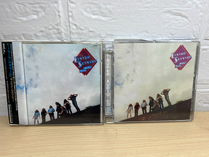 CD レーナード・スキナード ナッシン・ファンシー 国内販売用と輸入盤SACDの２枚セットLynyrd Skynyrd Nuthin