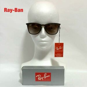 【人気】Ray-Ban　レイバン　サングラス　ベッコウ柄　ユニセックス　アジアンフィット　ウェリントン型　付属品付き　RB4221-F 865/13