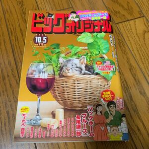 ビッグコミックオリジナル ２０２３年１０月５日号 （小学館）