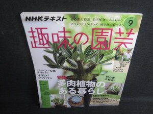 趣味の園芸　2019.9　多肉植物のある暮らし　日焼け有/SDY