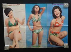 ♪ポスター246 山口百恵 浅野ゆう子 桜田淳子 郷ひろみ ずうとるび 平凡6月号第4付録♪タレント/ジャニーズジュニア/B2