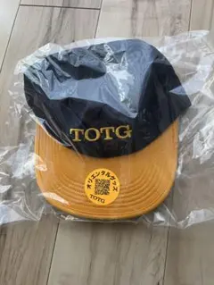 TOTG "TOUR NOVELTY CAP" DAILY DOSE 別注