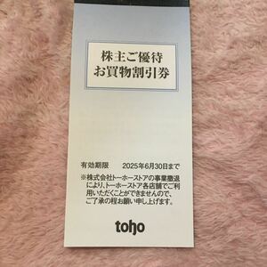 【最新】トーホー 株主優待 5000円分　ミニレター対応85円　トーホーストア　A-プライス　パワーラークス　せんどば　楽農レストラン