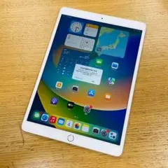 iPad pro 10.5インチ MPHH2J/A 256GB SB判定◯