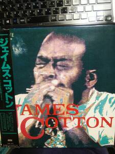 ◆JAMES COTTON/ジェイムス・コットン スーパー・ライヴ・スペシャル～ライヴ・アット・ザ・フォーラム　中古LDレーザーディスク