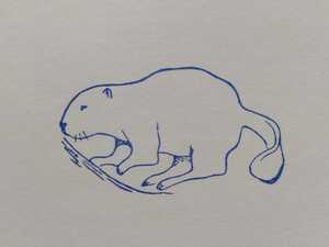 カピバラに似た　ネズミ系　野生動物　ワイルドライフ　フランス　アンティーク　子供　教材　スタンプ　ヴィンテージ　ハンコ　イラスト