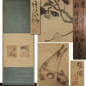 《源》【即決・送料無料】松村呉春(月渓) 筆 青梅図・森雄仙 筆 細芋図 小品画/箱付