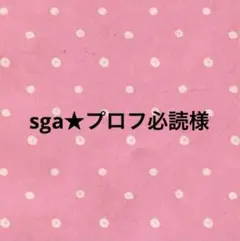 sga★プロフ必読様　専用