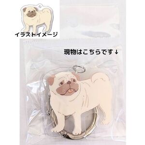 アニマルアクリルキーホルダー 両面印刷 丸型カラビナ付き 犬柄 パグ 新品 送料無料 