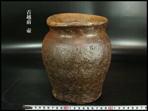 【金閣】古越前 壷 高21cm 旧家蔵出(UM540)