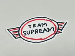 2022FW supreme ステッカー ″チームシュプリーム″