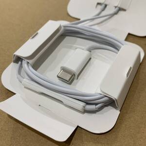 アップル純正 USB Type-Cイヤホン　アイホン　有線イヤホン